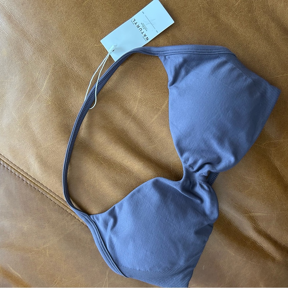 Aritzia Blue Bikini Top